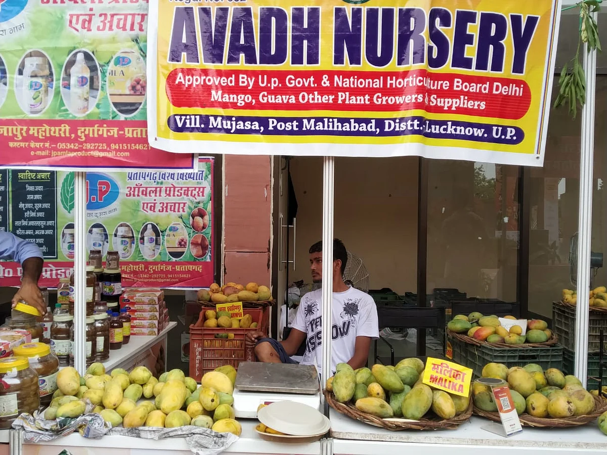 अवध मैंगो ग्रोअर्स हॉर्टिकल्चर सोसायटी