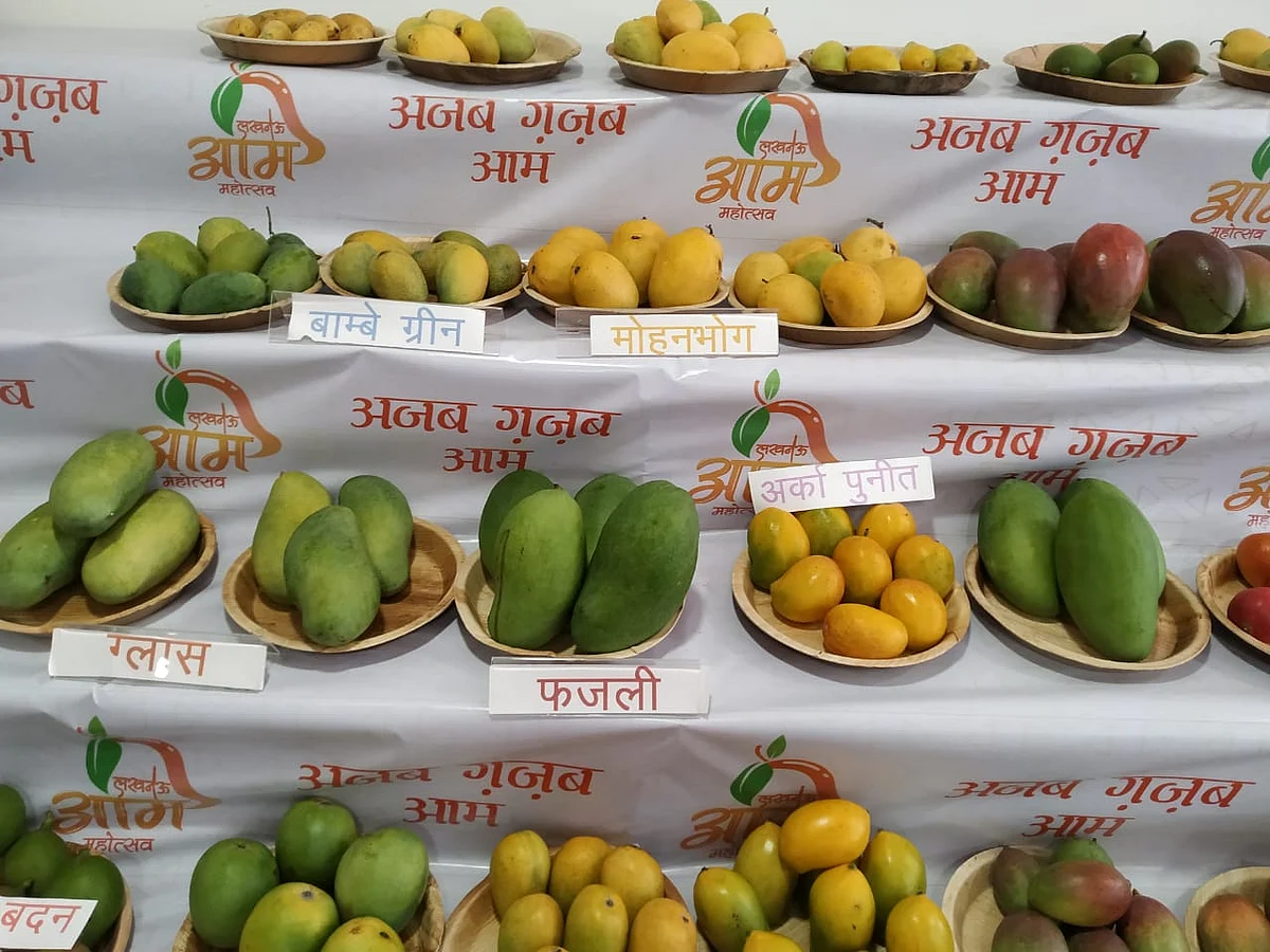 आम की किस्में