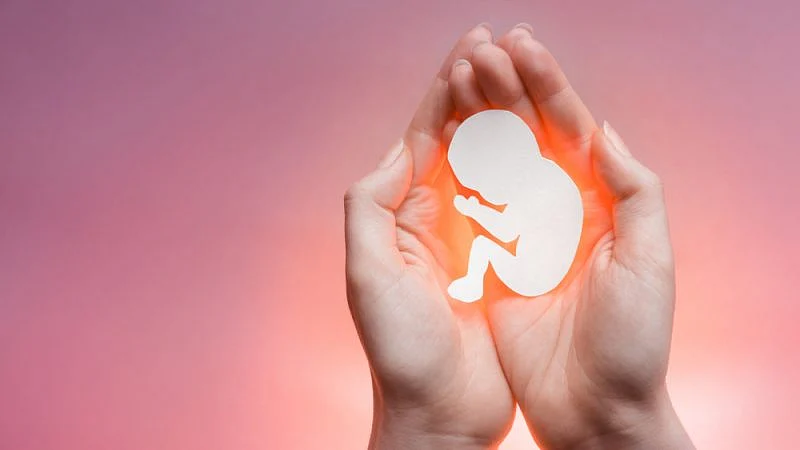गर्भपात (Abortion)