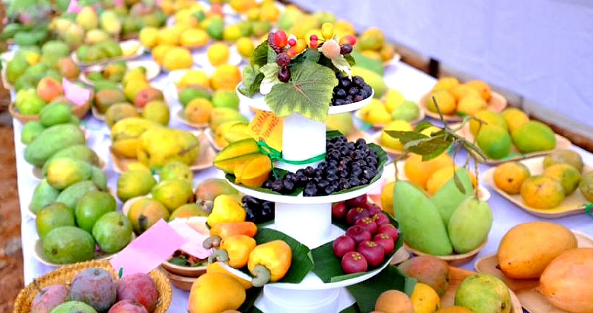 Join in the celebrations of Goa's famous Konkan Fruit Festival, from