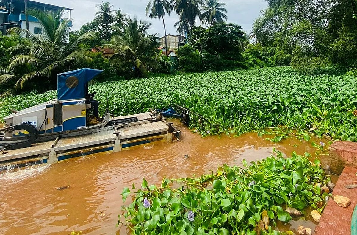 river mapusa