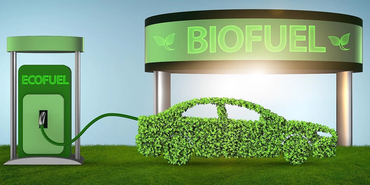 Uttar Pradesh reveals guidelines for Bioenergy policy; targets biofuel
