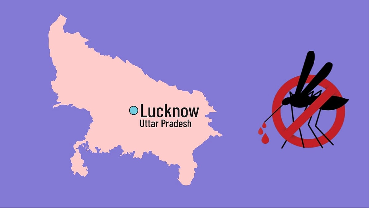 Lucknow records 45 dengue cases on Thursday; LMC starts 15day massive