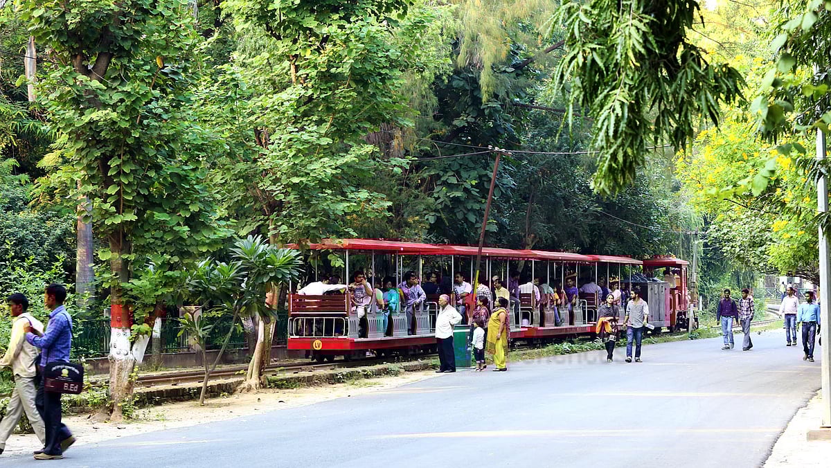 Lucknow zoo preps up to provide care against cold to animals