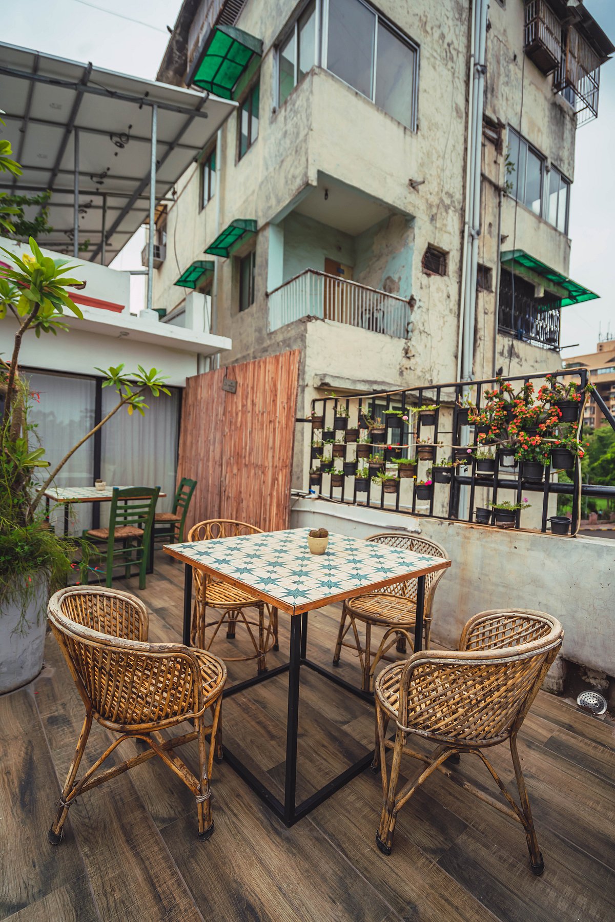 Cafe Charm and Community Love The Greenstraw House on the Riverfront Ahmedabad