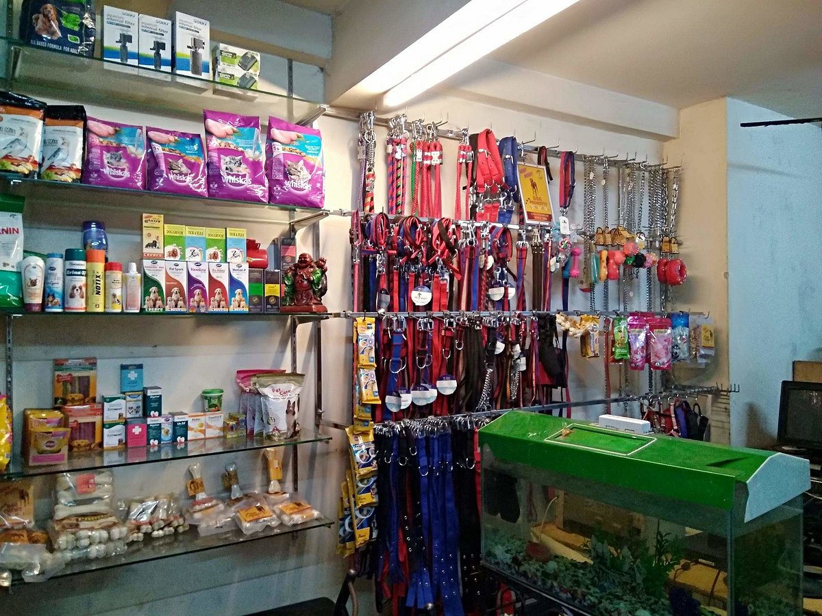 5 pet stores in Lucknow which you should bookmark for your pet's health
