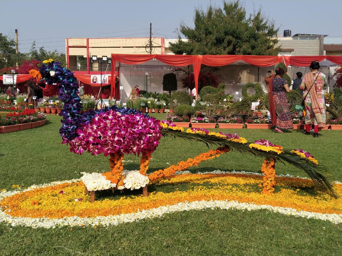 This flower show in Lucknow is winning the hearts of city dwellers!