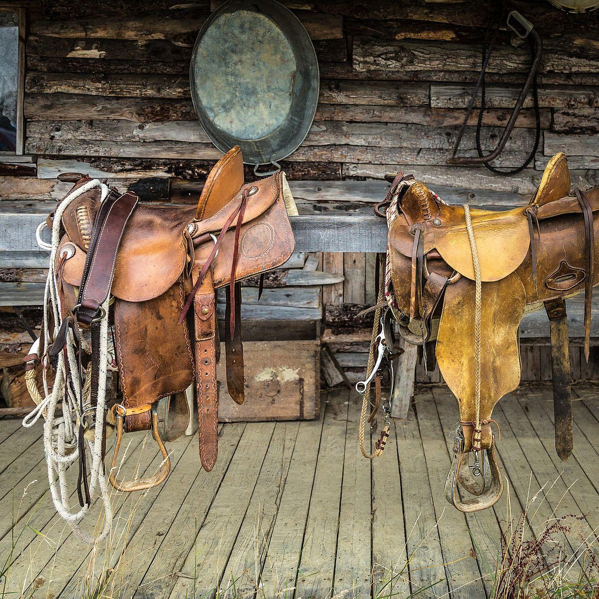 kanpur saddlery gi tag