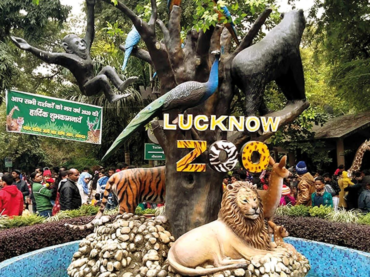 Centenary celebrations at Lucknow Zoo to include a memorial built for