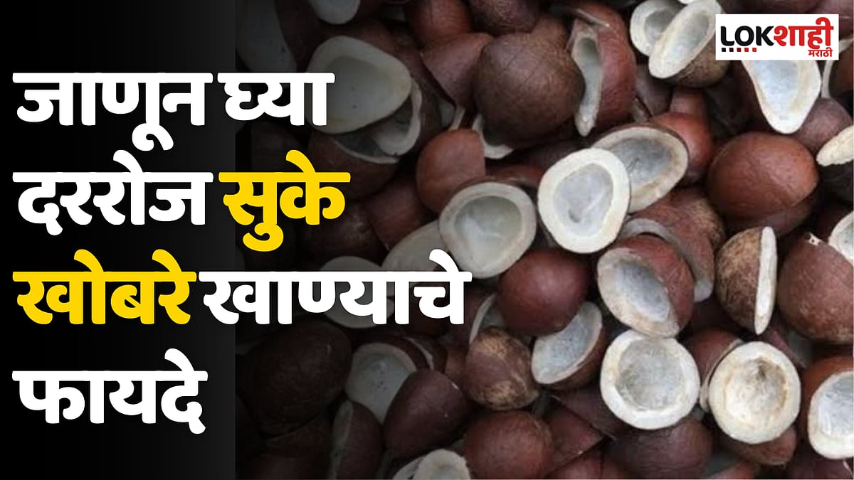 Dry Coconut Benefits सुक्या नारळाचे हृदय आणि मेंदूसाठी रामबाण उपाय