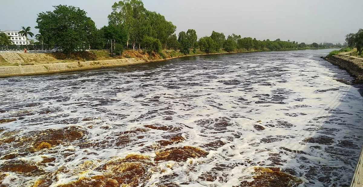 Beas water at Harike Barrage due to molasses spillage in 2018