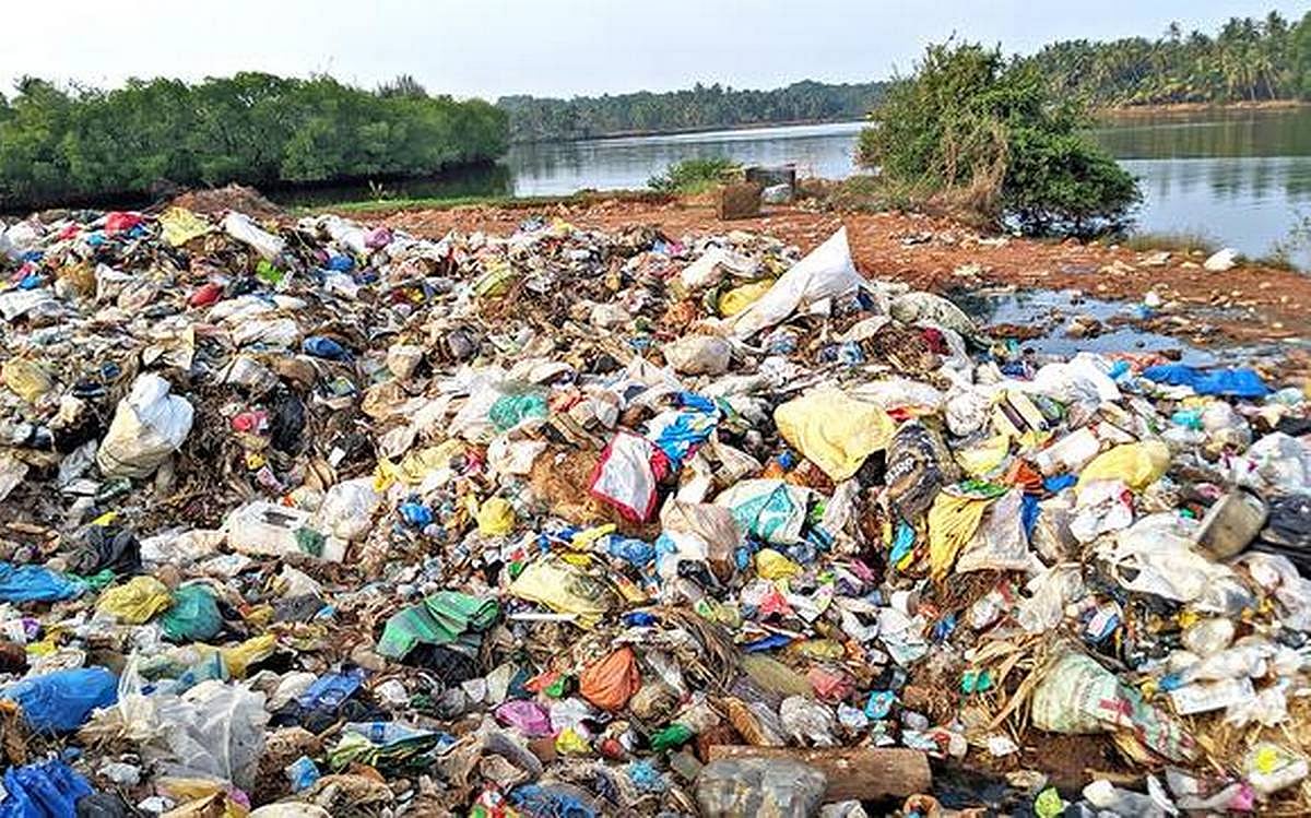 Gram panchayat found dumping solid waste on riverbank