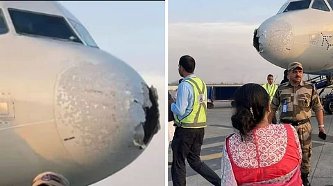 flight 6e2142 was carrying 227passengers and suffered visible-damage to the aircrafts nose