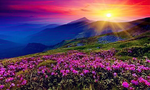 செக்ஸில் அதிக ஆர்வம் இருப்பது ஆபத்தா? - மருத்துவம் சொல்வது என்ன?