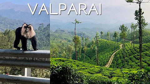 anamalai tourist place
