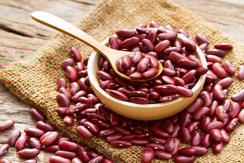 Rajma