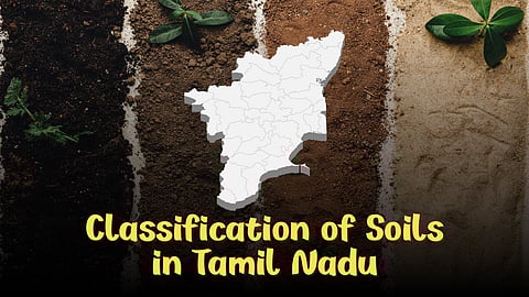 தமிழகத்தின் மண் வகைகளும், வளர உகந்த பயிர்களும்! - அதிக விளைச்சலுக்கு விவசாயிகள் தெரிந்து கொள்ள வேண்டிய வேளாண் அறிவியல்.