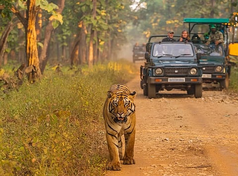 wildlife sanctuaries in tamil nadu