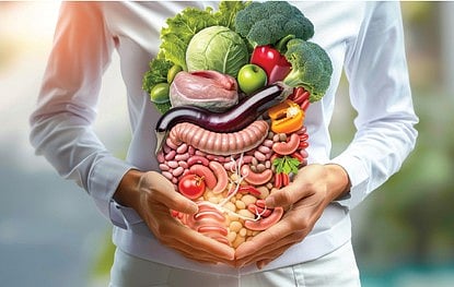 gut health so important in tamil