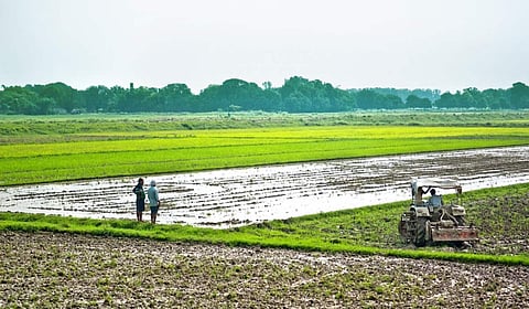 agri land