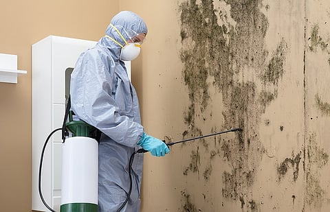 5 simple tips to prevent mold from growing on walls