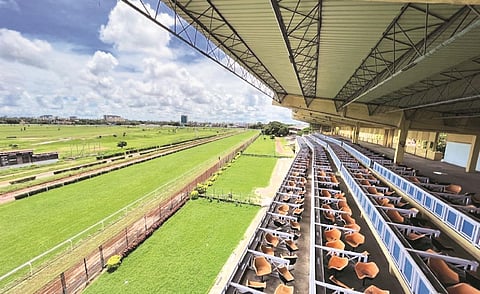 guindy race course