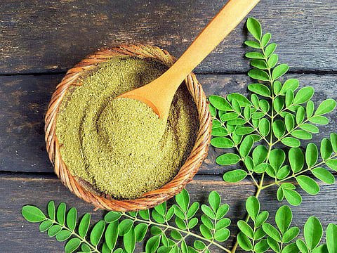 Moringa leaves