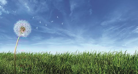 Why can't we see air