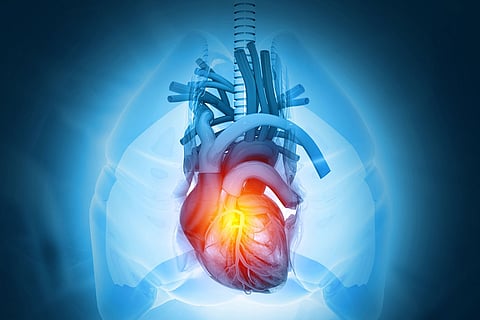 இதயத்தை பதினாறு வயதுப் பையனைப் போல.. 'இளமையாக' வைத்திருக்க ஒரு ரகசியம்!