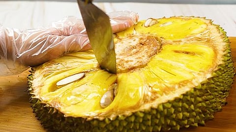 பலாப்பழக் கொட்டையில் இருந்து பாலாடைக் கட்டியா?.. இது புதுசு இருக்கே!