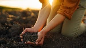 நம் மண்ணை மிதித்தால் நோய்கள் ஓடுமா? அறிவியல் சொல்லும் ஆச்சரிய உண்மை!