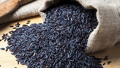 கருப்பு அரிசியில் ஒளிந்திருக்கும் காயகல்ப ரகசியம்.. தீராத நோய்களையும் விரட்டும் இந்த 'அதிசய உணவு' பற்றித் தெரியுமா?