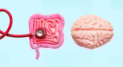 மனிதனின் இரண்டாவது மூளை எது தெரியுமா? உங்கள் கோபத்தையும் மகிழ்ச்சியையும் தீர்மானிக்கும் அந்த ரகசியம்!