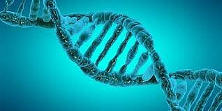 என்னங்க சொல்றீங்க? மரபணுக்களை மாற்றி அமைக்க முடியுமா?