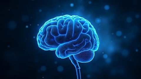 மூளையின் ரகசிய வரைபடம்.. நினைவாற்றல் மற்றும் கனவுகளின் பின்னணியில் ஒளிந்திருக்கும் அறிவியல் உண்மைகள்!