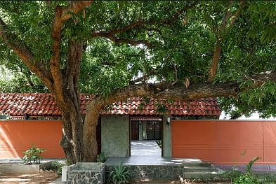 வீட்டில் இந்த மரத்தை மட்டும் வளர்க்க கூடாது… பணம் தாங்காமல் போக காரணமாகும்  வாஸ்து சாஸ்திர தவறுகள்!