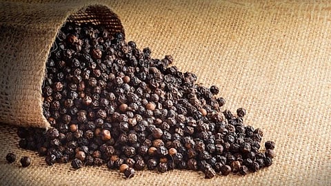 black pepper 