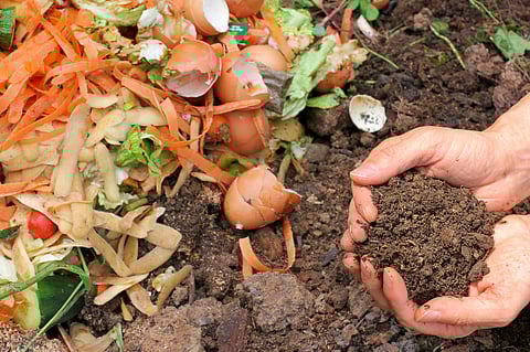 Composting-waste