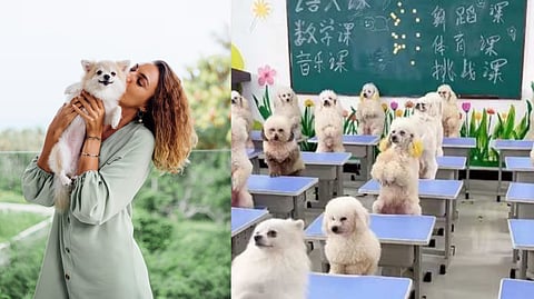 women spend 1 lahk for her pet