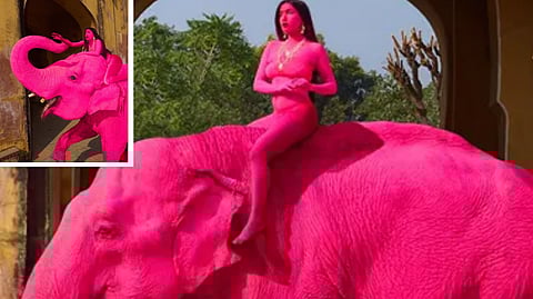 Jaipur elephant painted pink