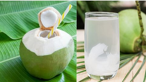 tender coconut