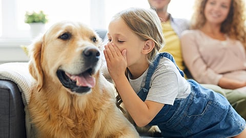 if animal can speack