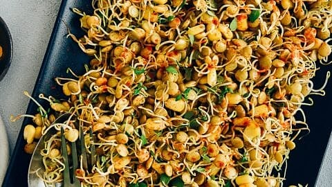 sprouted-lentils-
