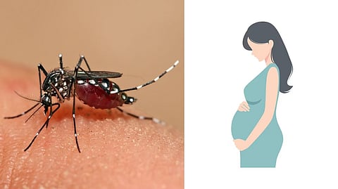 கொசு துரத்தி துரத்தி கடிக்கிறதா?