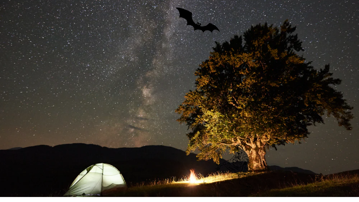 sleep under a tree at night