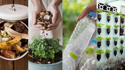 kitchen waste reuse