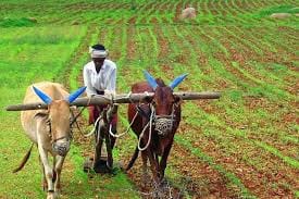 பஞ்சாங்கமும் விவசாயமும்!