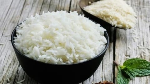 rice 