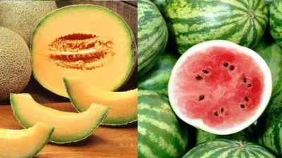 hydrate foods 