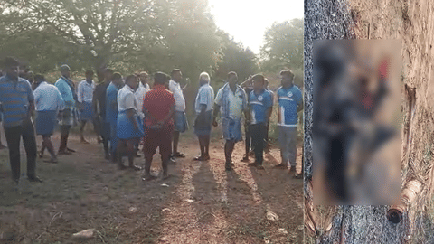 கிருஷ்ணகிரி ராயக்கோட்டை செல்லும் சாலை